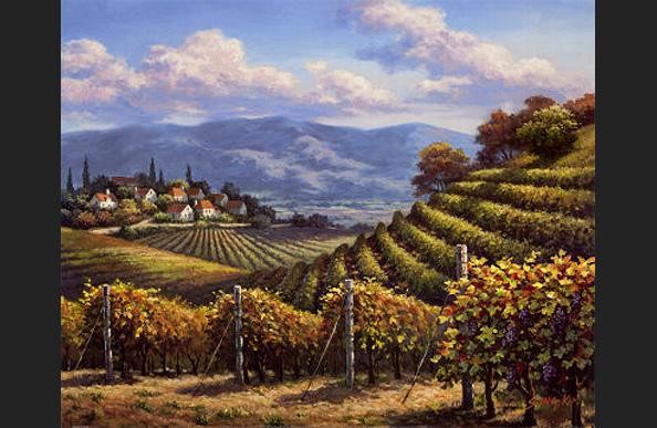 Sung Kim Vineyard Village